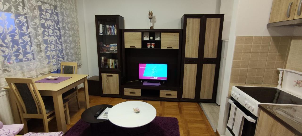 Apartman Bulevar 诺威萨 外观 照片